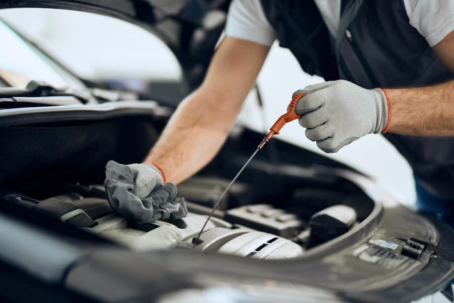 Vehicle Fluids Inspection